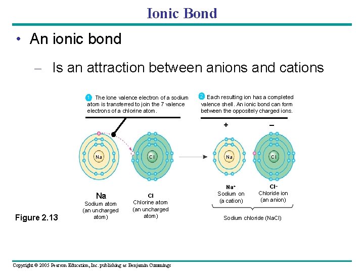 Ionic Bond • An ionic bond – Is an attraction between anions and cations