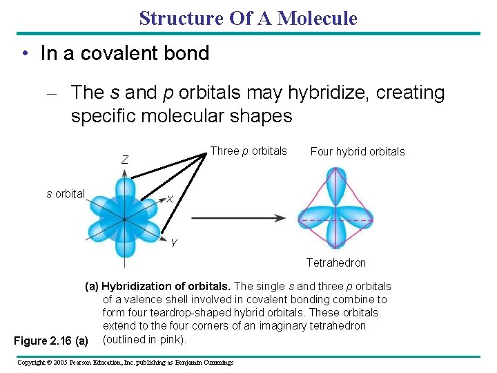 Structure Of A Molecule • In a covalent bond – The s and p