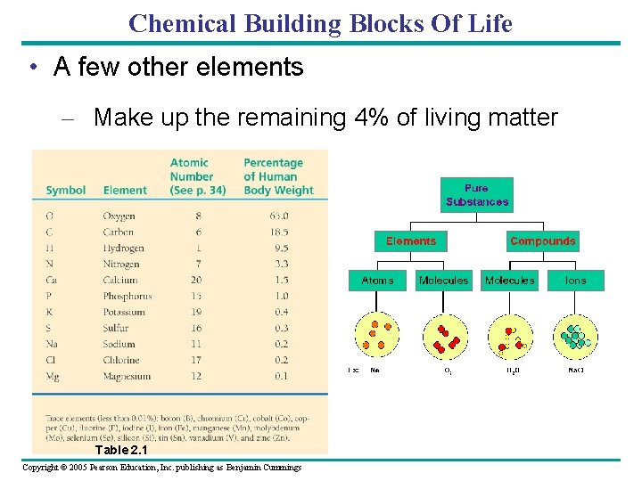 Chemical Building Blocks Of Life • A few other elements – Make up the