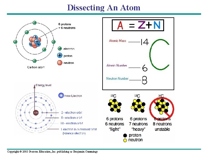 Dissecting An Atom Copyright © 2005 Pearson Education, Inc. publishing as Benjamin Cummings 