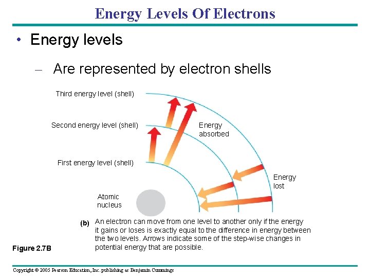 Energy Levels Of Electrons • Energy levels – Are represented by electron shells Third