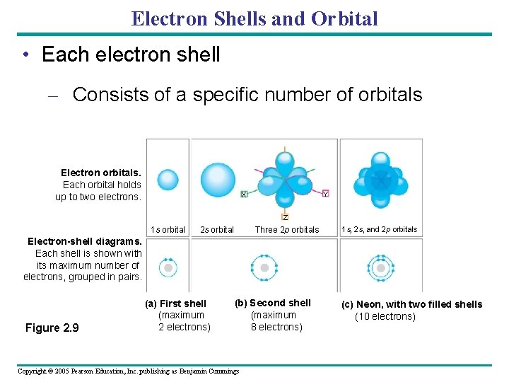 Electron Shells and Orbital • Each electron shell – Consists of a specific number