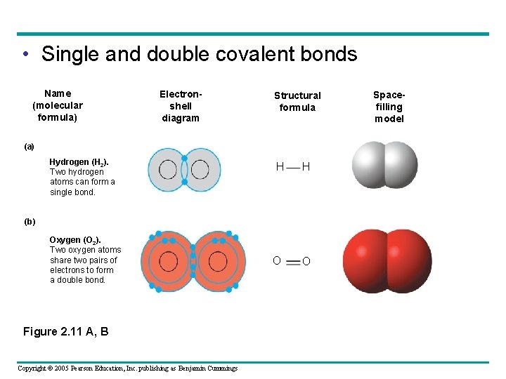  • Single and double covalent bonds Name (molecular formula) Electronshell diagram Structural formula