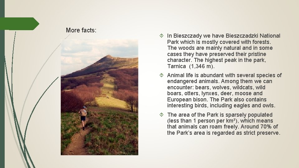 More facts: In Bieszczady we have Bieszczadzki National Park which is mostly covered with