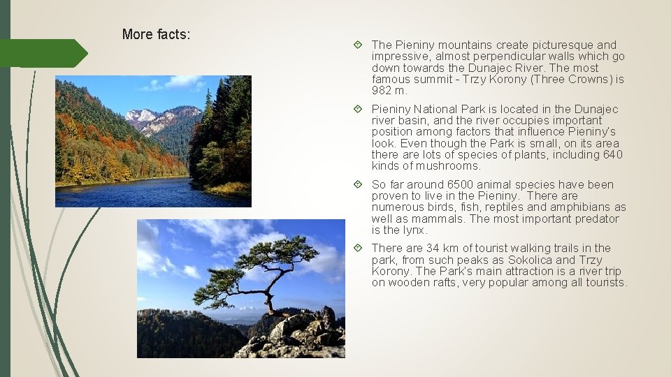 More facts: The Pieniny mountains create picturesque and impressive, almost perpendicular walls which go