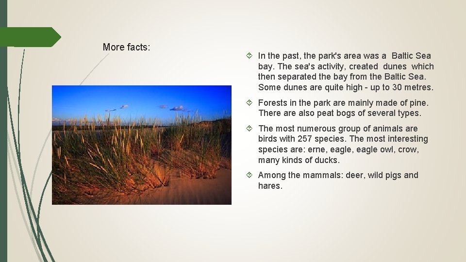 More facts: In the past, the park's area was a Baltic Sea bay. The