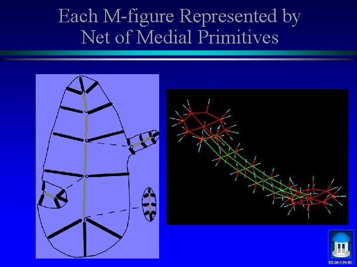Each M-figure Represented by Net of Medial Primitives MIDAG@UNC 