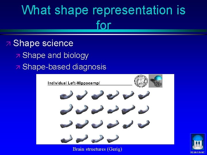 What shape representation is for ä Shape science ä Shape and biology ä Shape-based