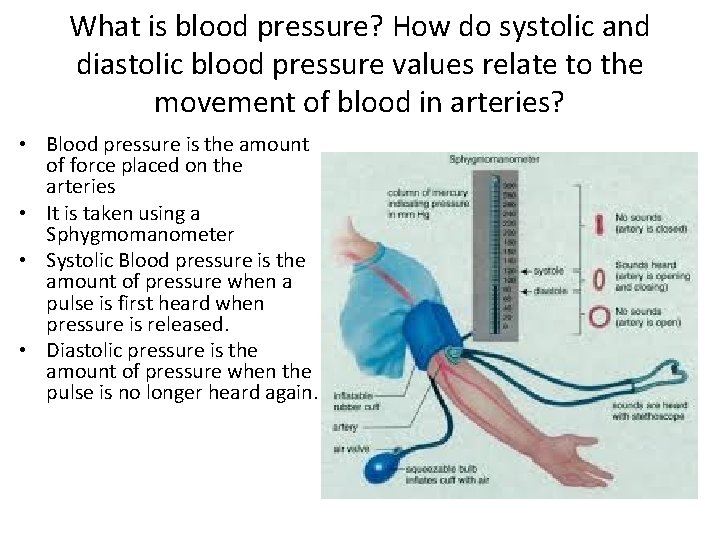 What is blood pressure? How do systolic and diastolic blood pressure values relate to