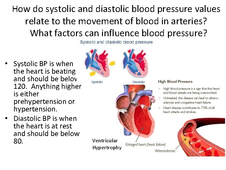 How do systolic and diastolic blood pressure values relate to the movement of blood