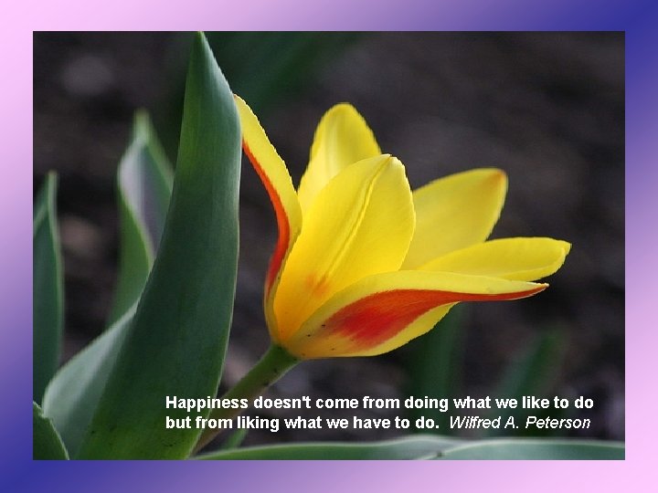 Happiness doesn't come from doing what we like to do but from liking what