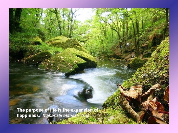 The purpose of life is the expansion of happiness. Maharishi Mahesh Yogi 