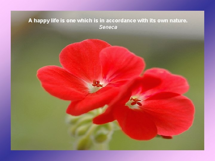A happy life is one which is in accordance with its own nature. Seneca