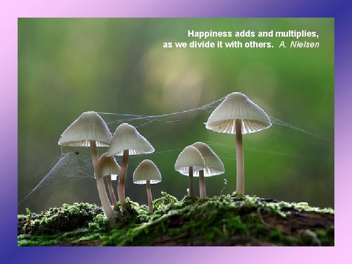 Happiness adds and multiplies, as we divide it with others. A. Nielsen 