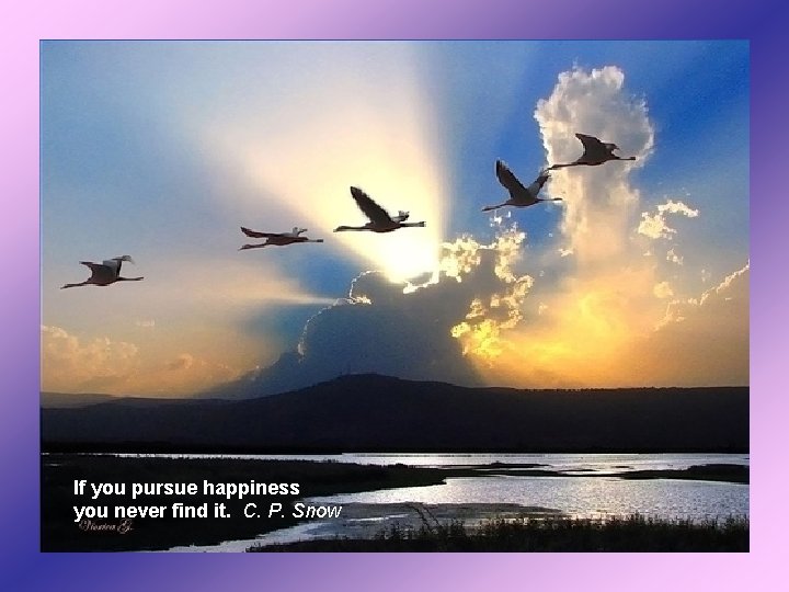 If you pursue happiness you never find it. C. P. Snow 