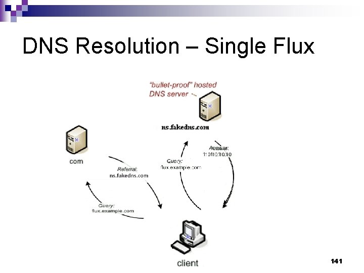DNS Resolution – Single Flux 141 