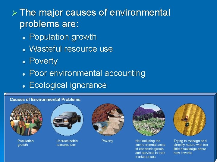 Ø The major causes of environmental problems are: l l l Population growth Wasteful