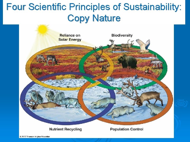 Four Scientific Principles of Sustainability: Copy Nature 