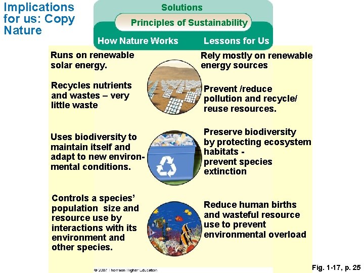 Implications for us: Copy Nature Solutions Principles of Sustainability How Nature Works Runs on