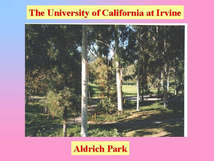 The University of California at Irvine Aldrich Park 