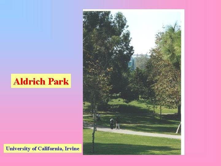 Aldrich Park University of California, Irvine 