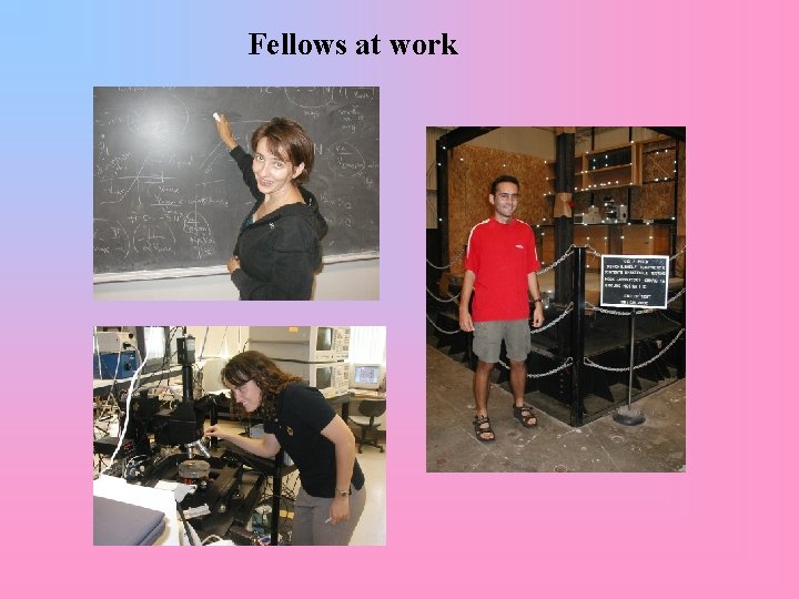 Fellows at work 