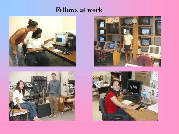 Fellows at work 