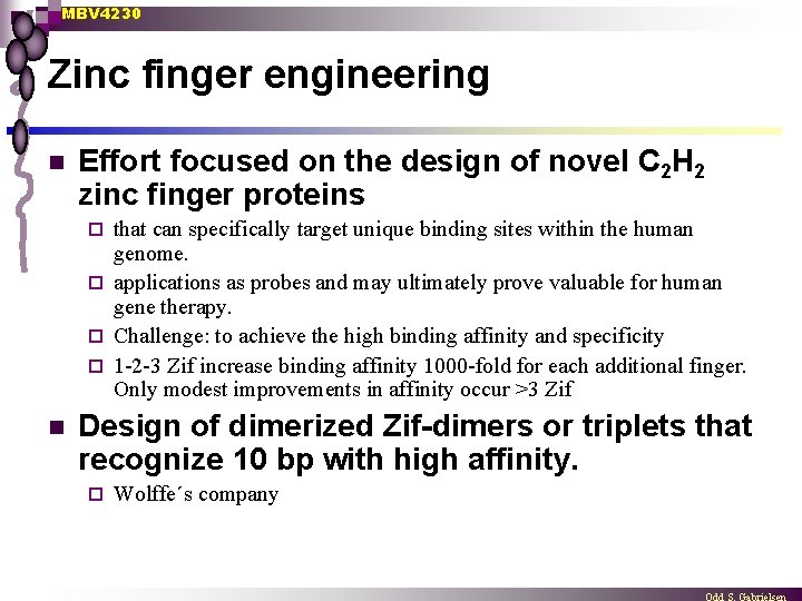 MBV 4230 Zinc finger engineering n Effort focused on the design of novel C