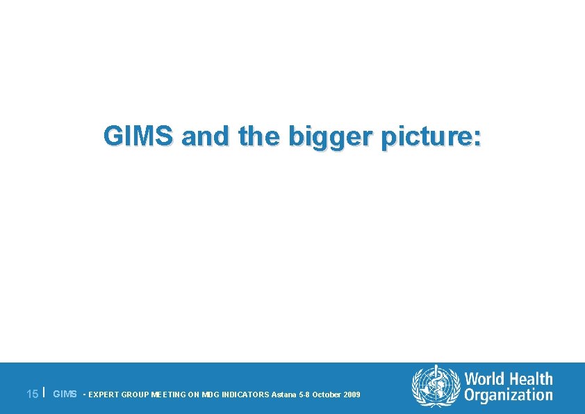 GIMS and the bigger picture: 15 | GIMS - EXPERT GROUP MEETING ON MDG