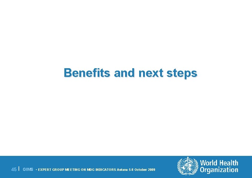 Benefits and next steps 45 | GIMS - EXPERT GROUP MEETING ON MDG INDICATORS