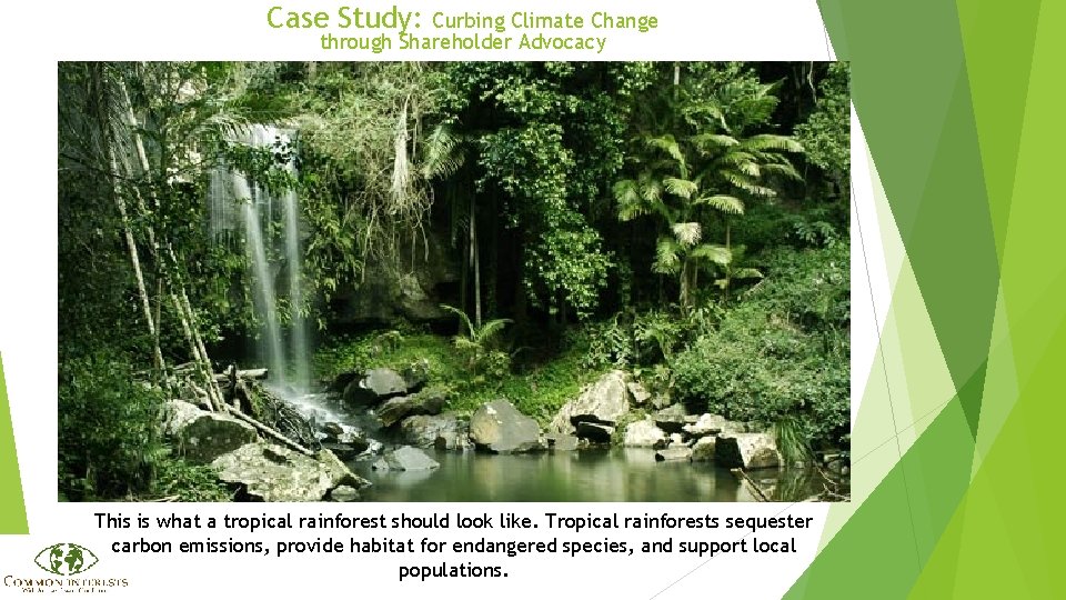 Case Study: Curbing Climate Change through Shareholder Advocacy This is what a tropical rainforest