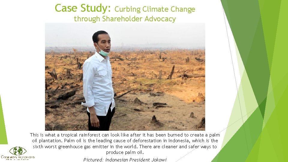 Case Study: Curbing Climate Change through Shareholder Advocacy This is what a tropical rainforest