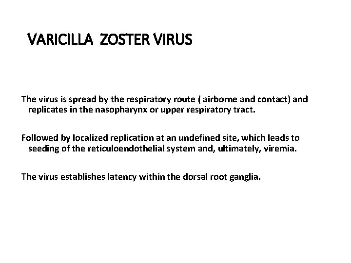 VARICILLA ZOSTER VIRUS The virus is spread by the respiratory route ( airborne and