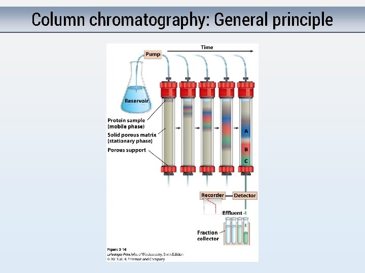 Column chromatography: General principle 