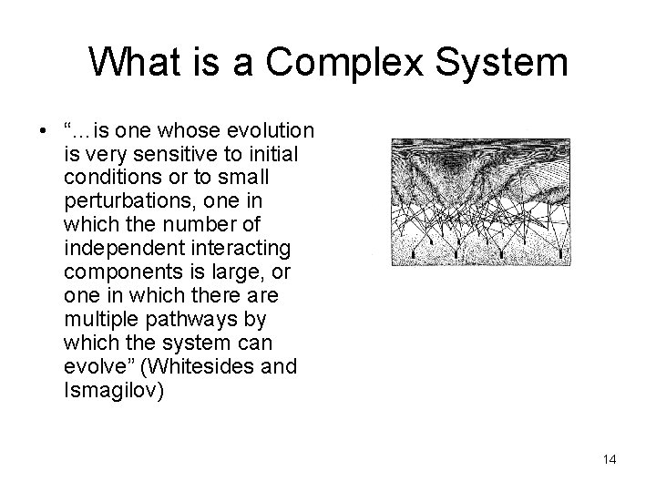 What is a Complex System • “…is one whose evolution is very sensitive to