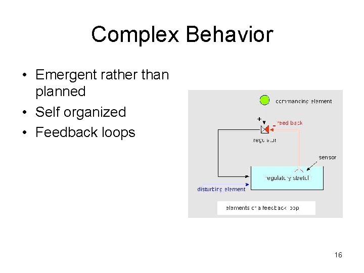 Complex Behavior • Emergent rather than planned • Self organized • Feedback loops 16