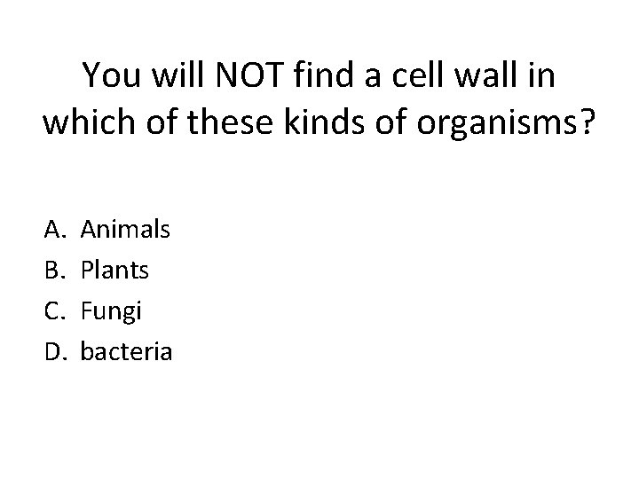 You will NOT find a cell wall in which of these kinds of organisms?