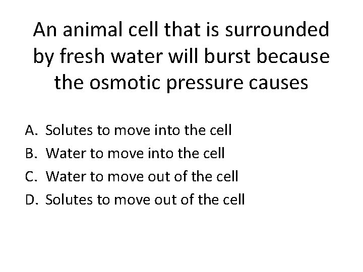 An animal cell that is surrounded by fresh water will burst because the osmotic