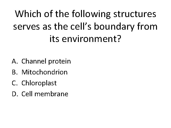 Which of the following structures serves as the cell’s boundary from its environment? A.