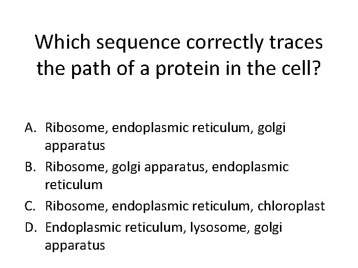 Which sequence correctly traces the path of a protein in the cell? A. Ribosome,