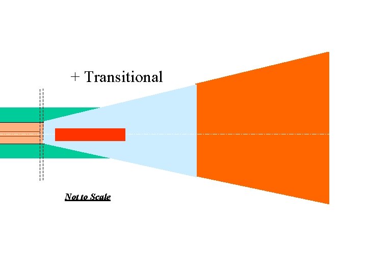 + Transitional Not to Scale + Transitional Not to Scale