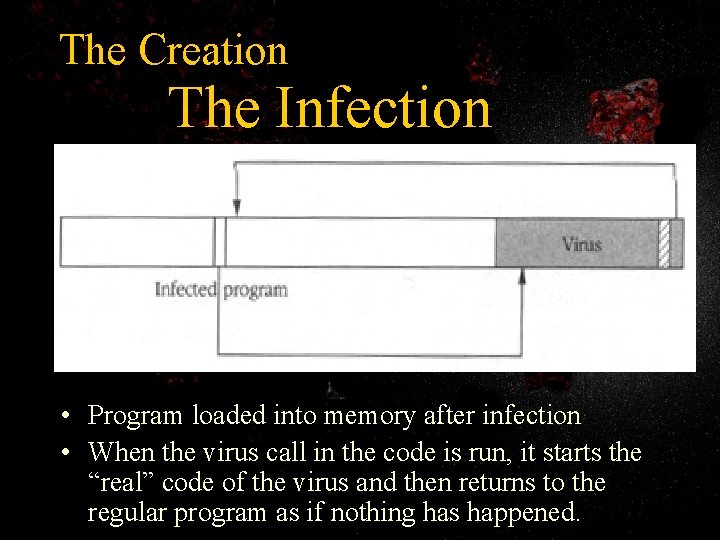 The Creation The Infection • Program loaded into memory after infection • When the