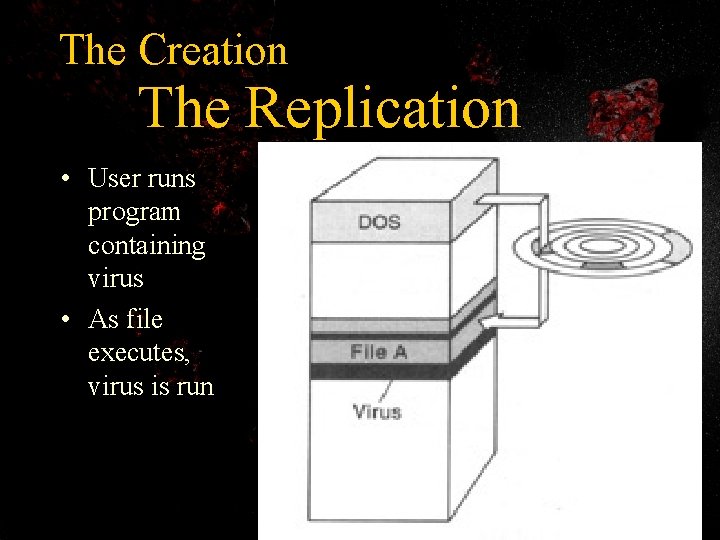 The Creation The Replication • User runs program containing virus • As file executes,