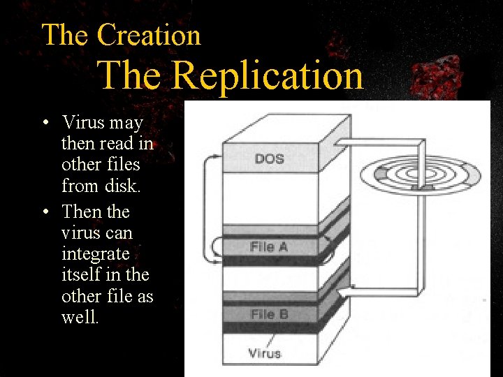 The Creation The Replication • Virus may then read in other files from disk.