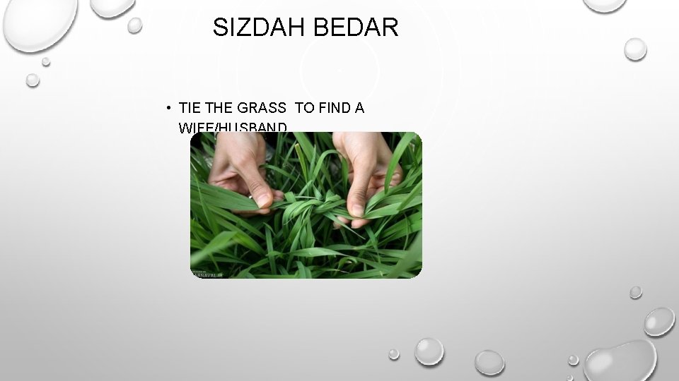 SIZDAH BEDAR • TIE THE GRASS TO FIND A WIFE/HUSBAND SIZDAH BEDAR • TIE THE GRASS TO FIND A WIFE/HUSBAND