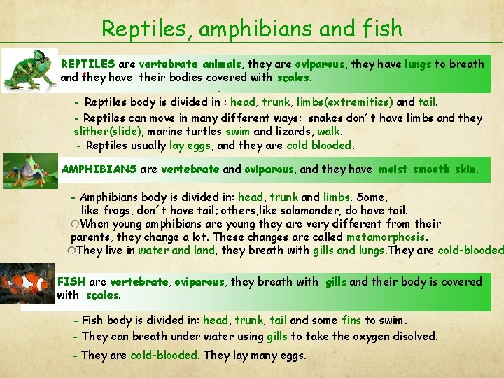 Reptiles, amphibians and fish REPTILES are vertebrate animals, they are oviparous, they have lungs