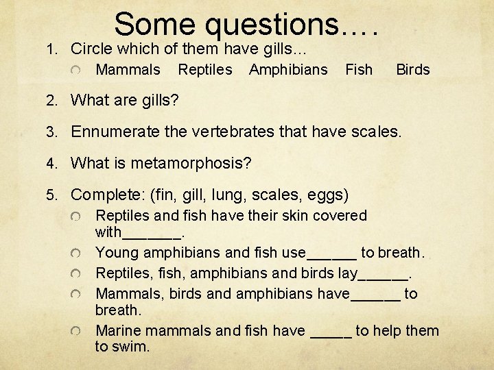 Some questions…. 1. Circle which of them have gills… Mammals Reptiles Amphibians Fish Birds