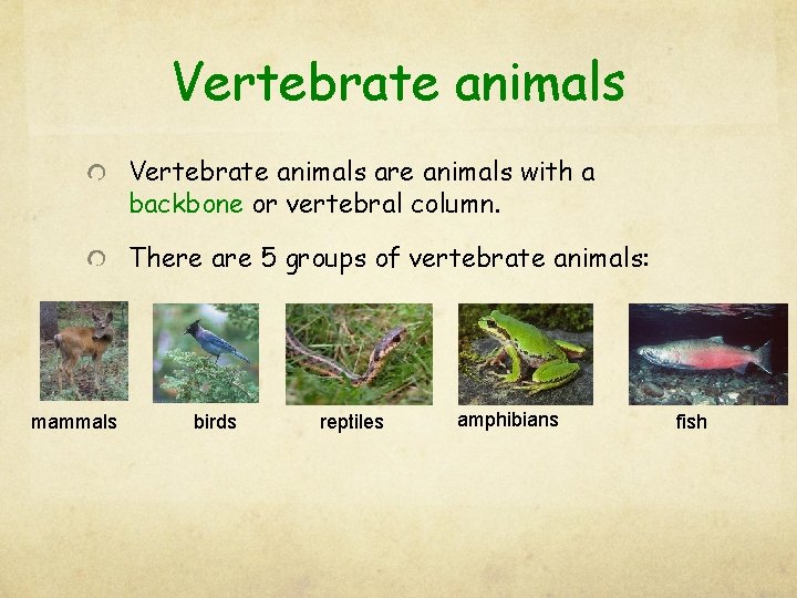 Vertebrate animals are animals with a backbone or vertebral column. There are 5 groups