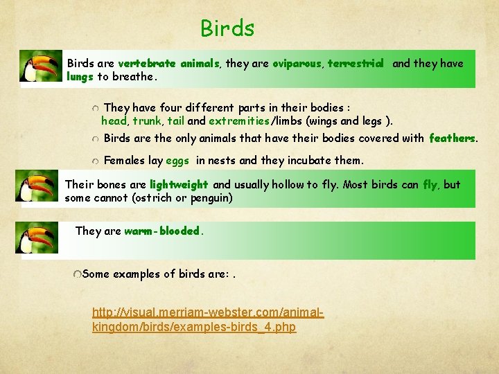 Birds are vertebrate animals, they are oviparous, terrestrial and they have lungs to breathe.