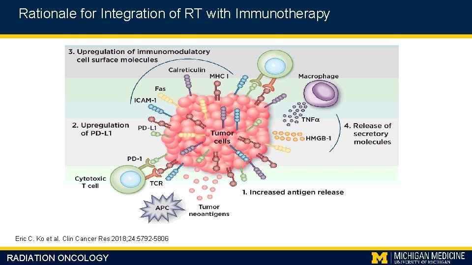 Rationale for Integration of RT with Immunotherapy Eric C. Ko et al. Clin Cancer
